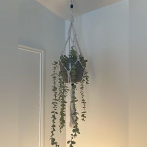 Macrame plant hanger